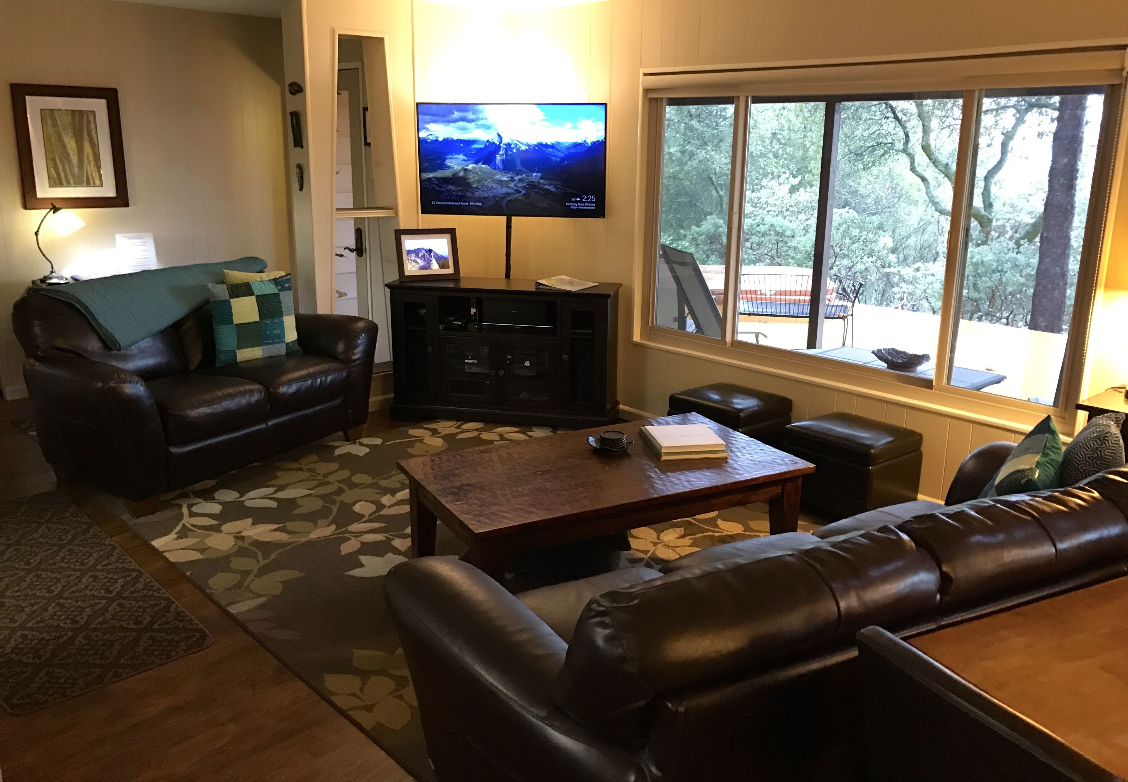 Smart TV, DVD player, books, music library