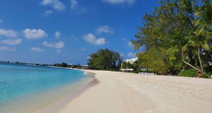 On Site Scuba Diving, 2 Pools, 3 Story Condo Awaits, Steps From These Views!!