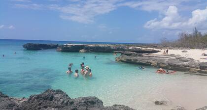 On Site Scuba Diving, 2 Pools, 3 Story Condo Awaits, Steps From These Views!!