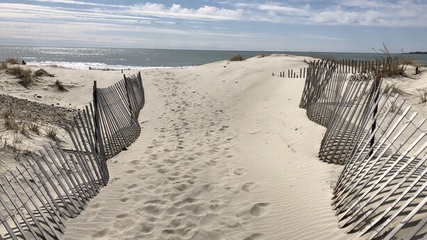 Ein Sandweg am Strand, gesäumt von Holzzäunen, der zum Meer führt.