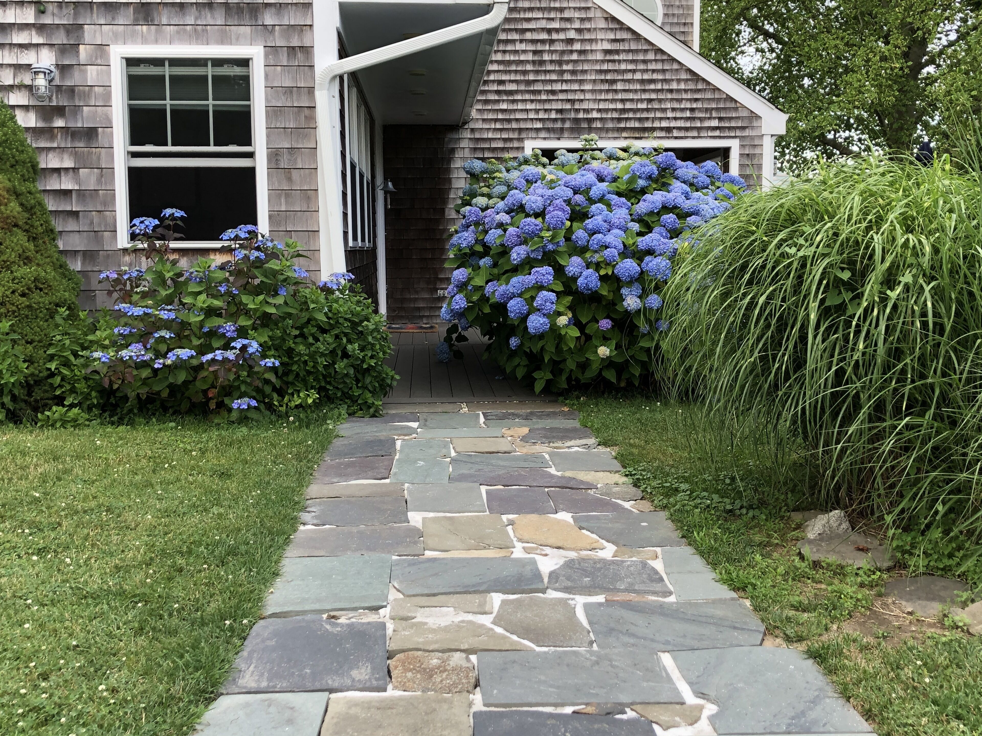 A stone pathway leading to a house with a garage door, surrounded by lush greenery and flowering plants.