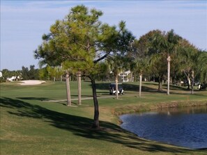 Enjoy a serene golf experience with a clear view of the water body and lush tropical surroundings.