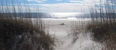 Accommodatie ligt op het strand, ligstoelen