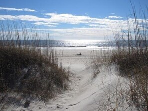 A sandy beach path leading to the ocean with sparse vegetation. - FANTASTIC OCEANFRONT ENCLAVE ON OAK ISLAND with DIRECT BEACH ACCESS (Oak Island)