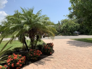 Uma passarela pavimentada com palmeiras e flores vermelhas.