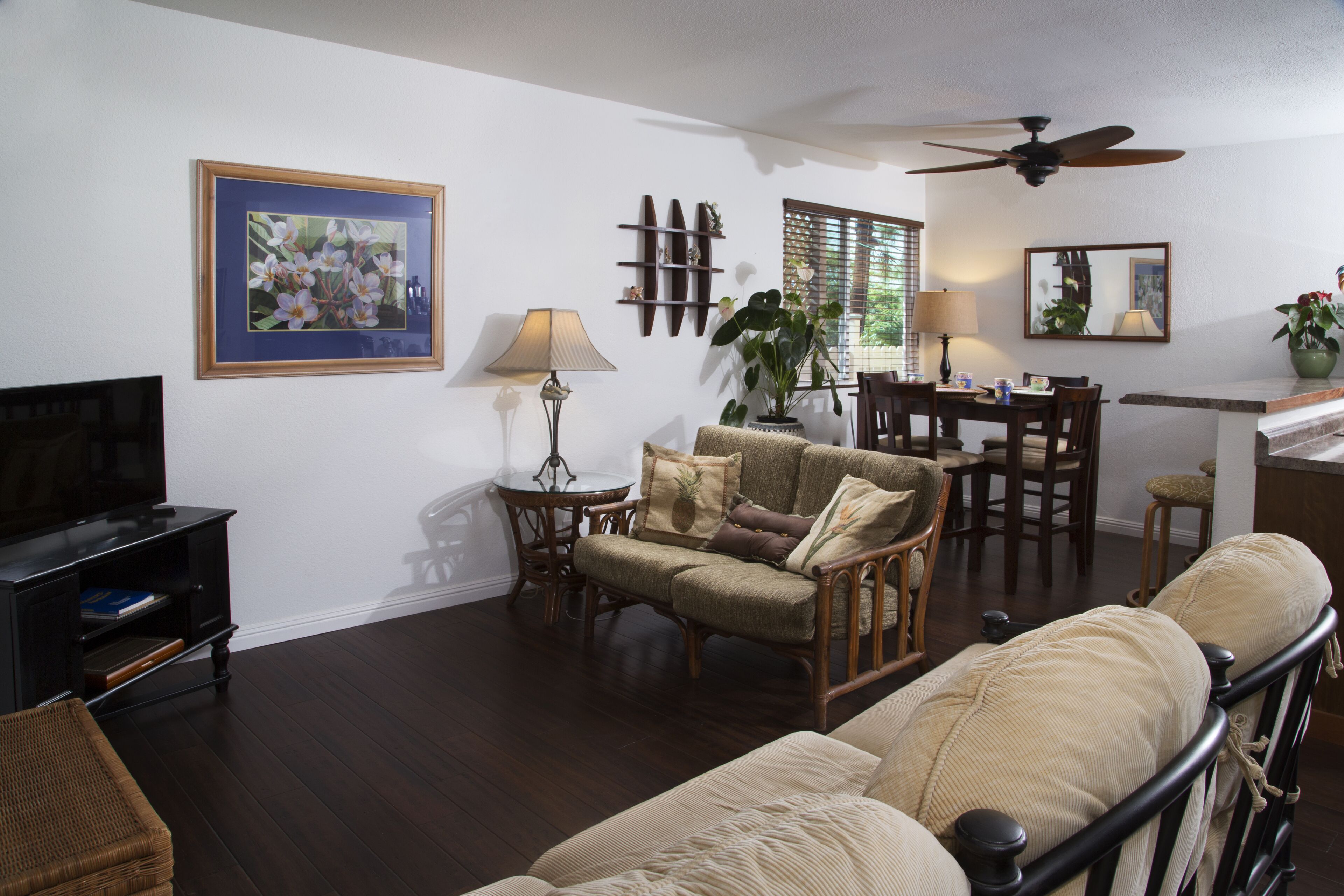 Smart TV, DVD player, books, offices