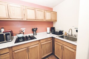 Fridge, microwave, stovetop, coffee/tea maker - Beautiful Dome Architecture (Crestone)