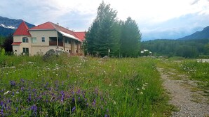 Een huis met een rood dak en een grindpad dat ernaartoe leidt, omringd door een veld vol bloemen en een bos op de achtergrond.