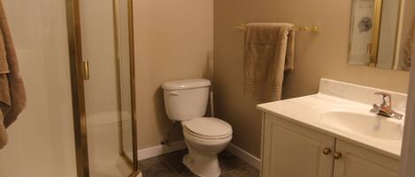 A bathroom with a toilet, a sink, and a shower.