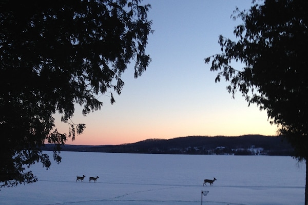 Área da propriedade