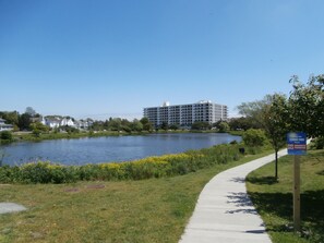 Property grounds - Community Pool 2BR Condo Ocean Front Building (Rehoboth Beach)