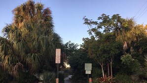A pathway leading through a natural area with dense foliage and trees. - Sunset Landing AMI Beach House. 6BR/4.5BA. Private pool. 2 blks to beach. (Holmes Beach)