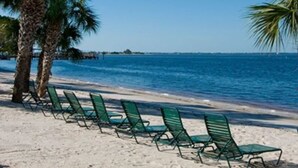 Une plage bordée de rangées de chaises longues vertes et de palmiers.