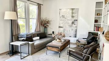 TV, fireplace, books