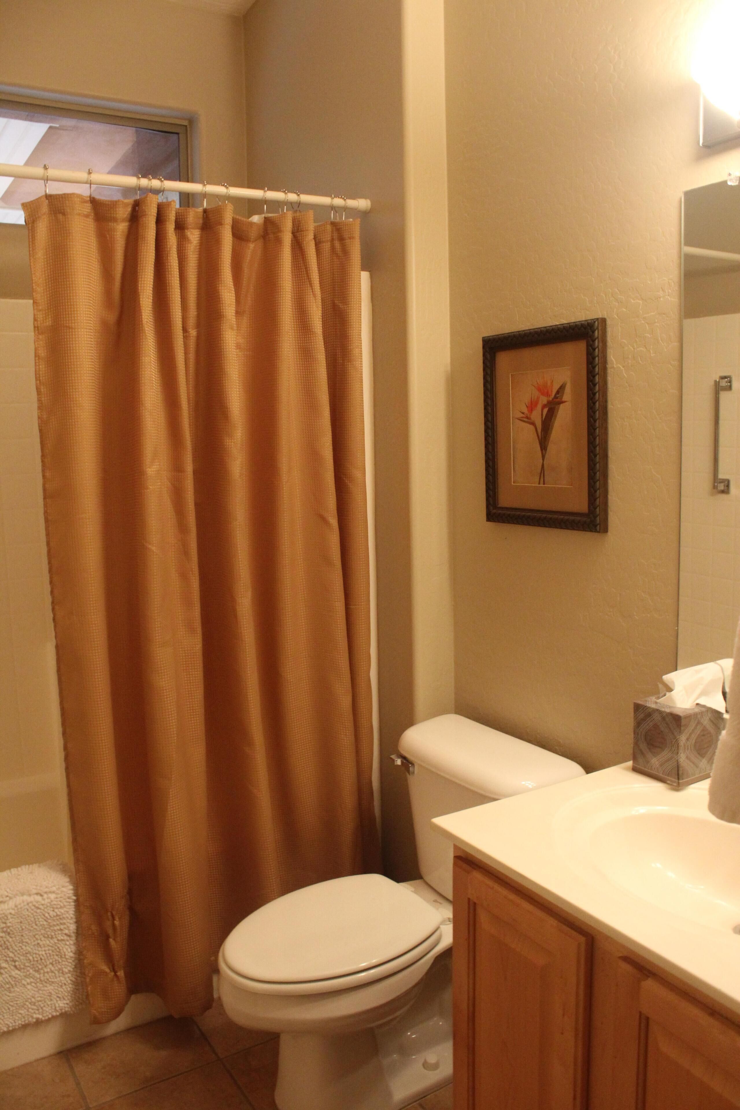 A bathroom with a shower curtain, toilet, sink, and a framed picture on the wall.