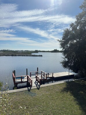 Property grounds - Anita's nature coast hideaway (Crystal River)
