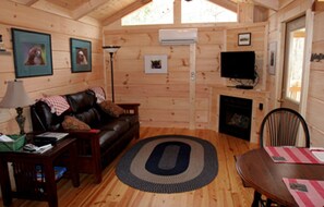 TV, lareira, DVD player