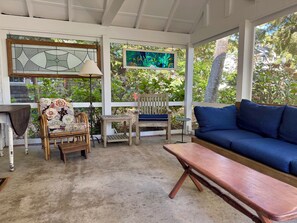 Smart TV, chimenea y libros 