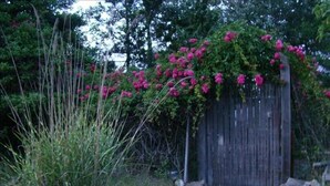 A wooden gate with a stone pathway leading through a garden with pink flowering plants.