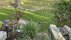 En anlagt have med forskellige træer, græsplæne og et vandareal i baggrunden.