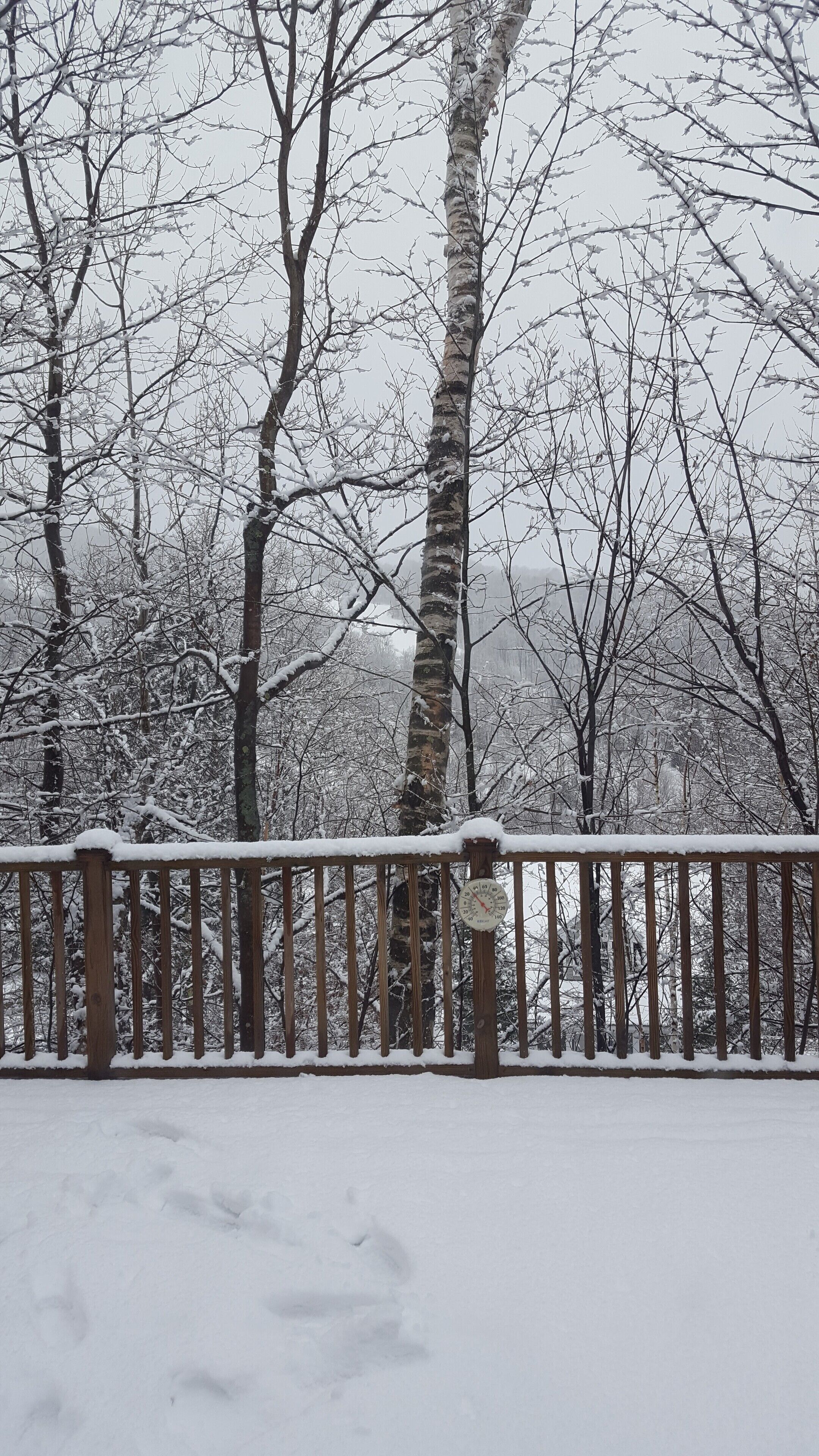 Mountain view from living room