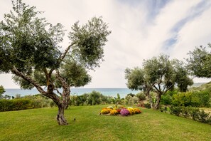 Garden - Staikos (Preveza)