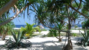 House, Multiple Beds, Beach View (House of Palms) | Property grounds - House of Palms (Teouma)