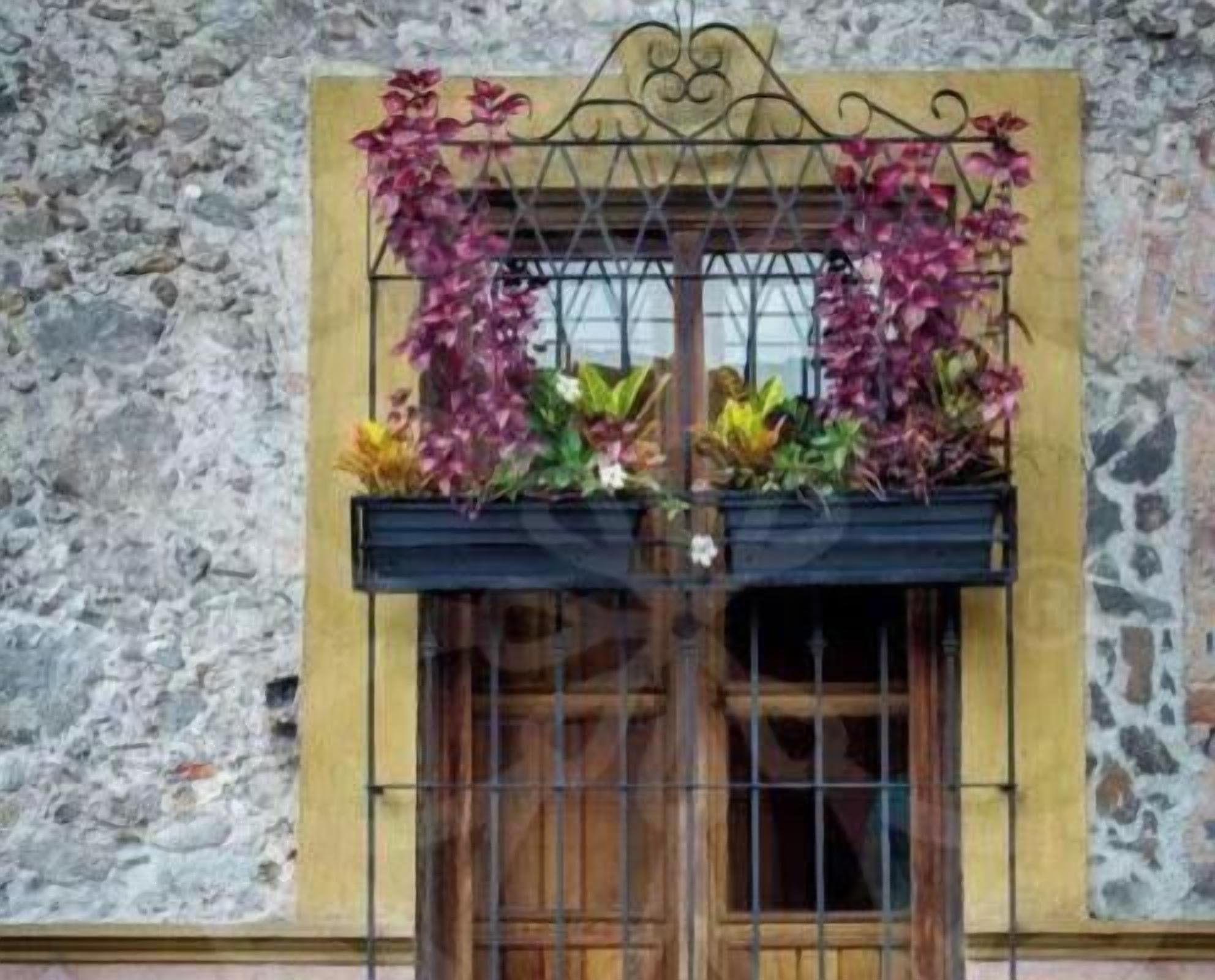 A window with a wrought iron gate and a planter box with flowers.