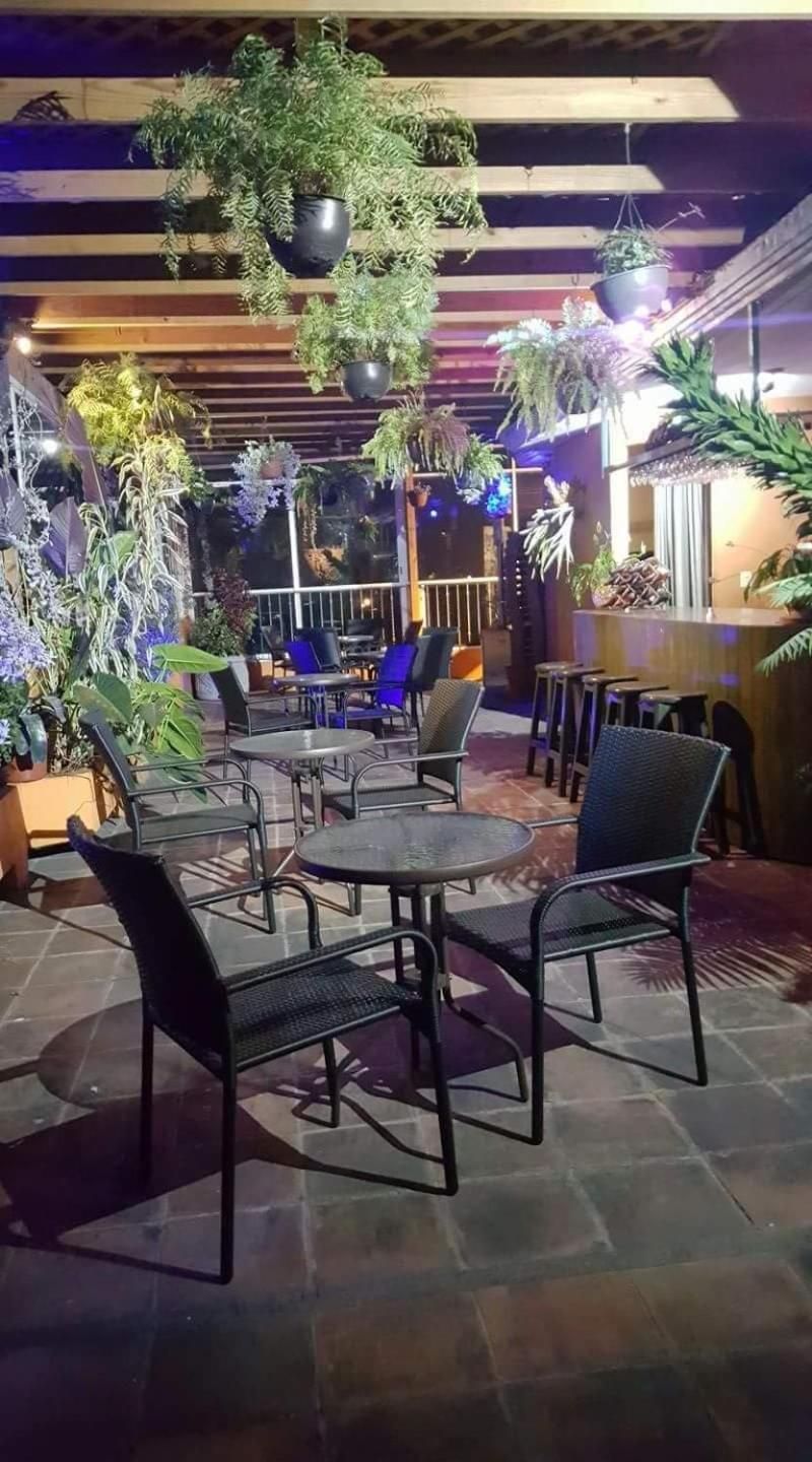 Un área de estar al aire libre con mesas y sillas, rodeada de plantas en macetas y follaje colgante.