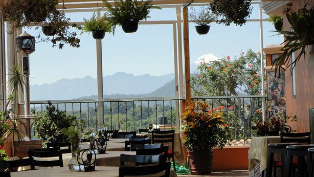 A restaurant with outdoor seating, tables covered with beige tablecloths, and hanging plants. - Hotel Posada San Jerónimo (Coatepec)