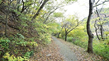 ハイキング