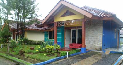 Kota Bunga E