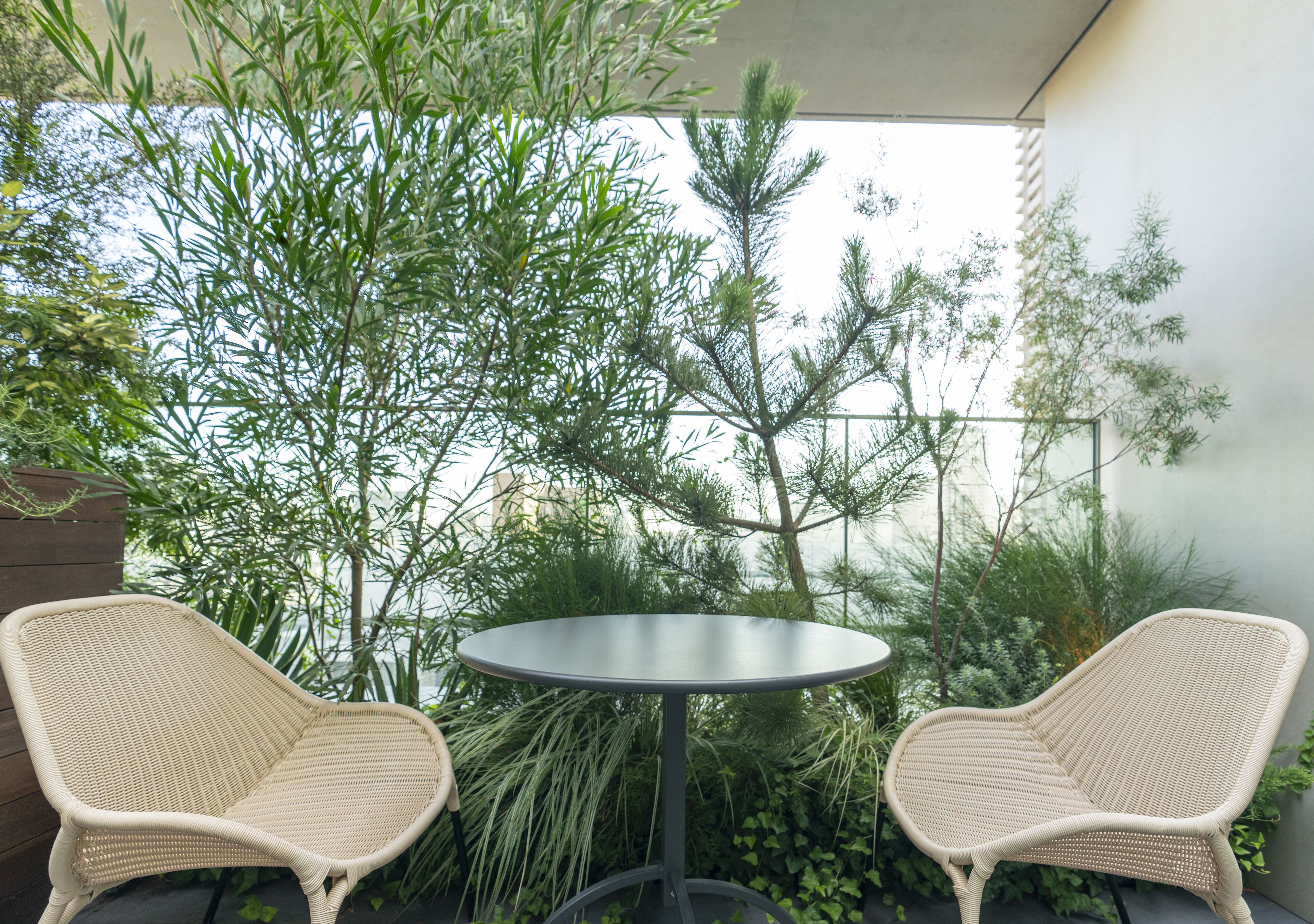 terrace room, non smoking | terrace/patio