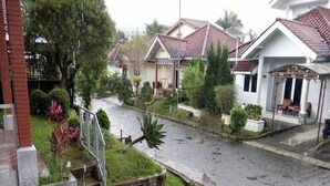 Una calle residencial con casas, una carretera pavimentada y una zanja de desagüe.