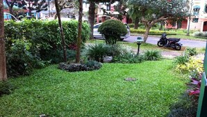 Un jardín bien cuidado con distintas plantas y una moto aparcada.