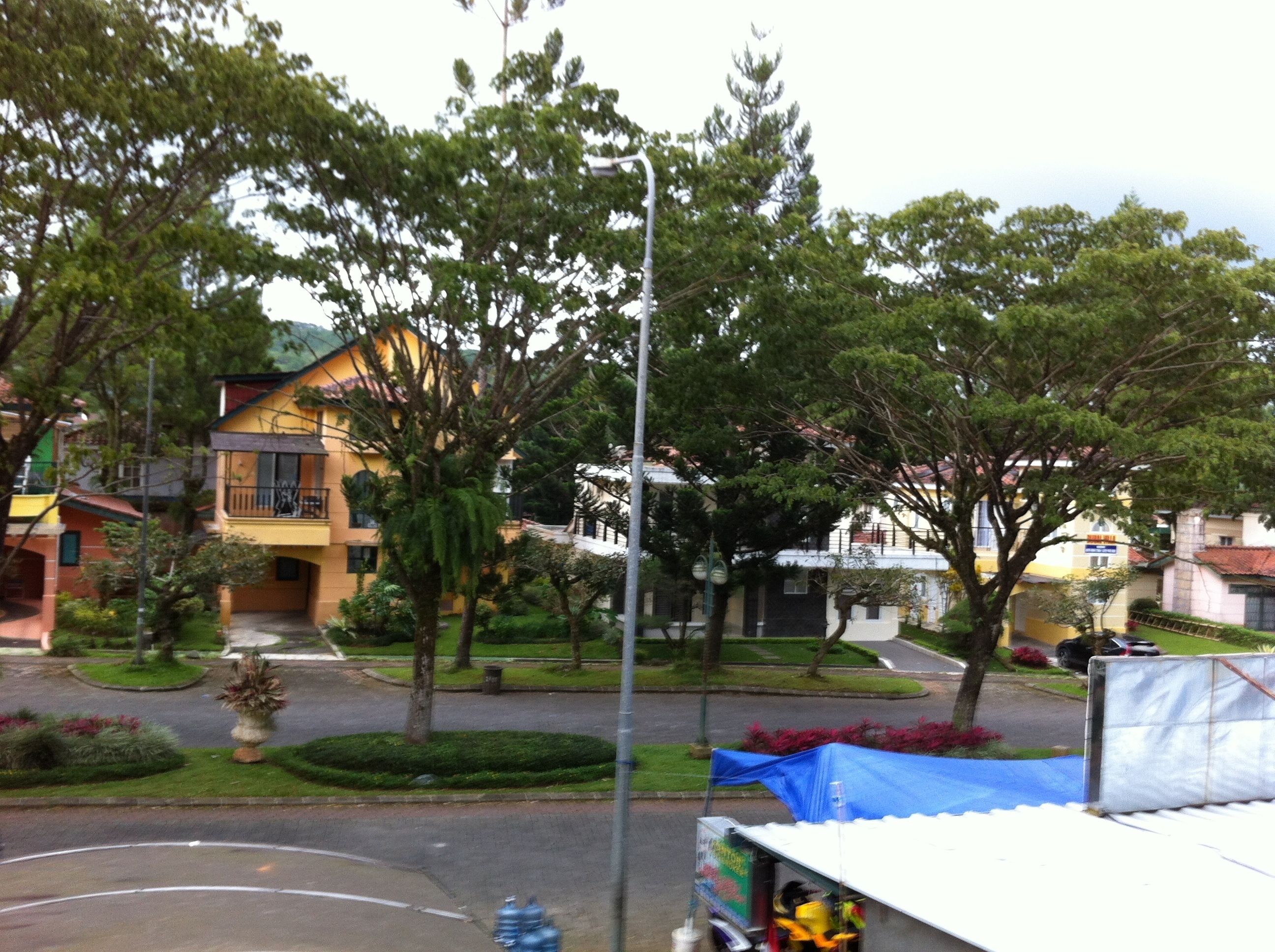 A residential area with houses, trees, and a street.