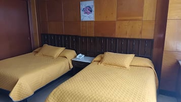 Δίκλινο Δωμάτιο (Double), 2 Διπλά Κρεβάτια, Μη Καπνιστών, Θέα στην Πόλη | Σίδερο/σιδερώστρα, δωρεάν Wi-Fi, κλινοσκεπάσματα