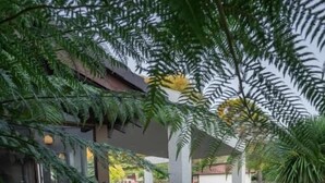 A serene garden with a small pond, wooden bridge, and lush greenery. - All Seasons Motel Armidale (Armidale)