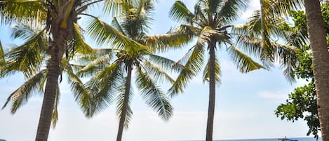 On the beach, black sand, beach towels