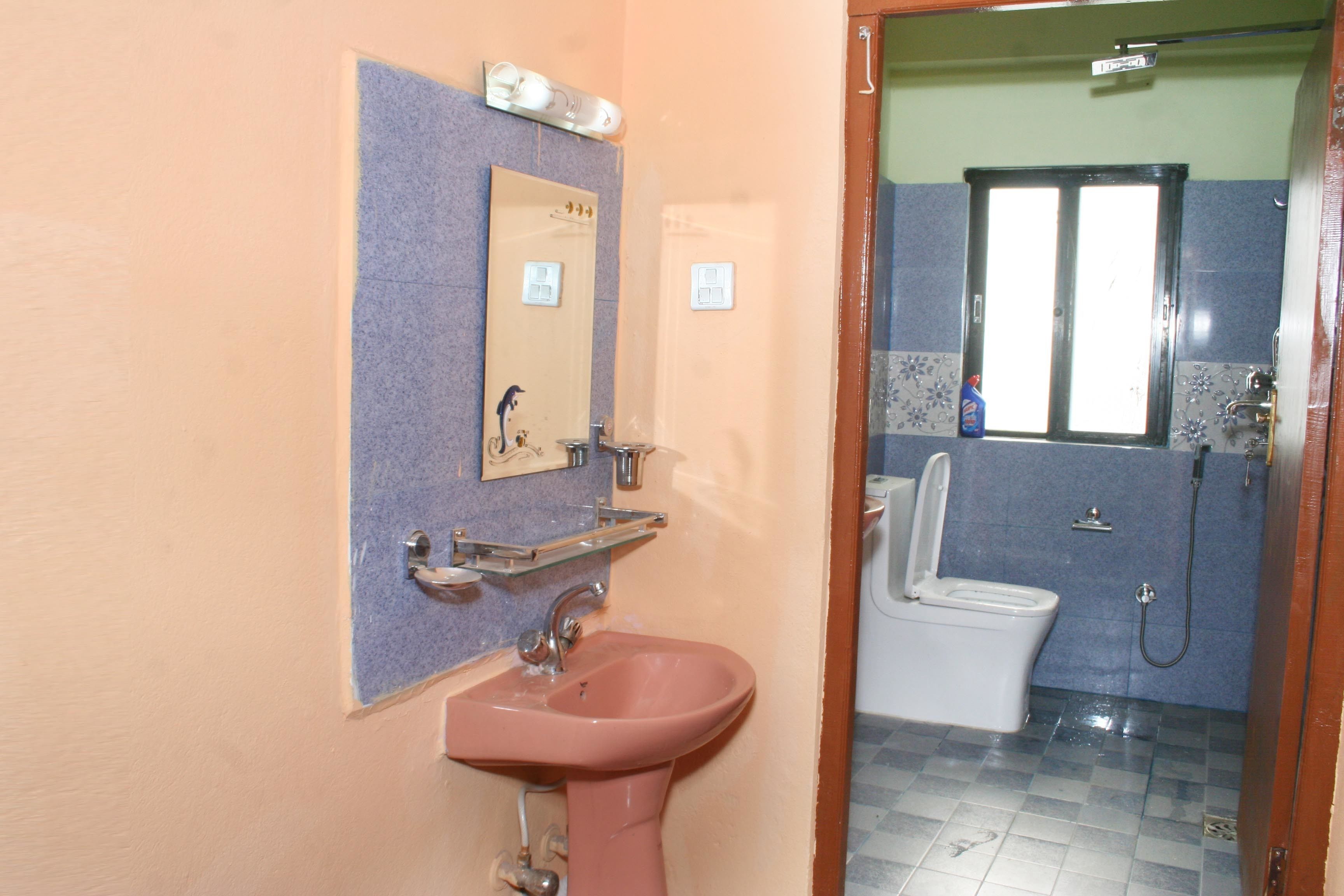 A bathroom with a pink sink, a mirror, and a toilet.