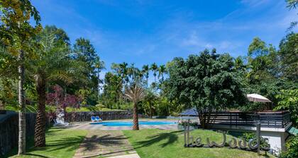 The Woods Resorts Wayanad
