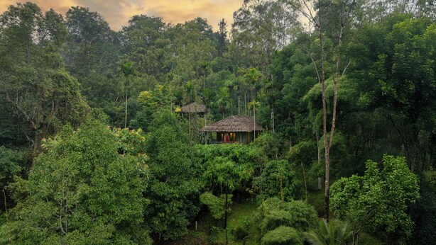 A thatched-roof hut surrounded by dense forest. - The Woods Resorts Wayanad (Sulthan Bathery)