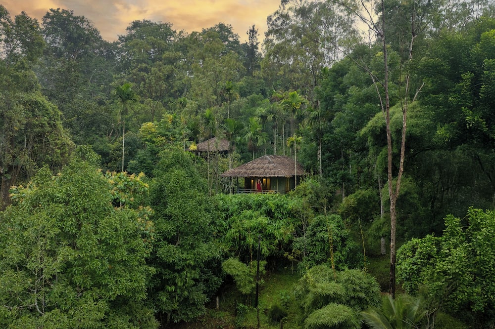 The Woods Resorts Wayanad