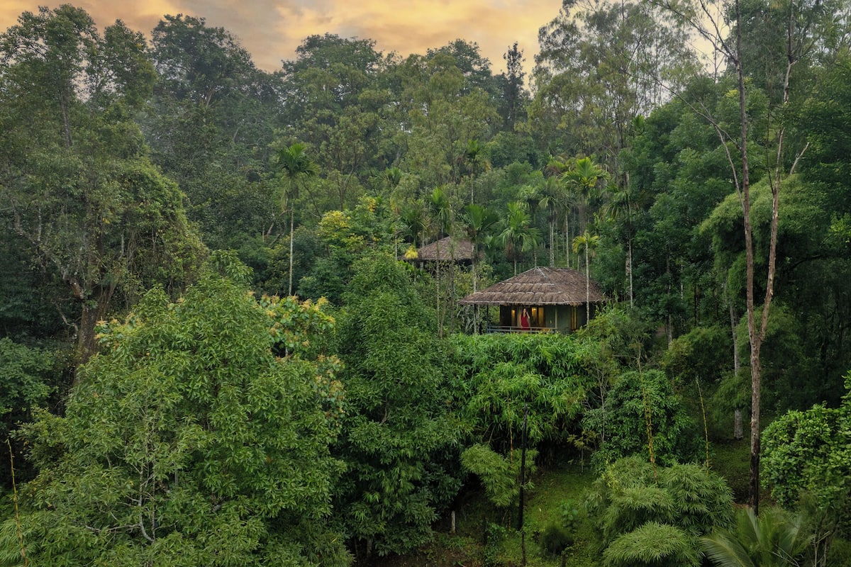 Ebony Elevated Cottage | 1 bedroom, minibar, individually furnished, blackout drapes