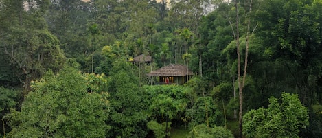 Ebony Elevated Cottage