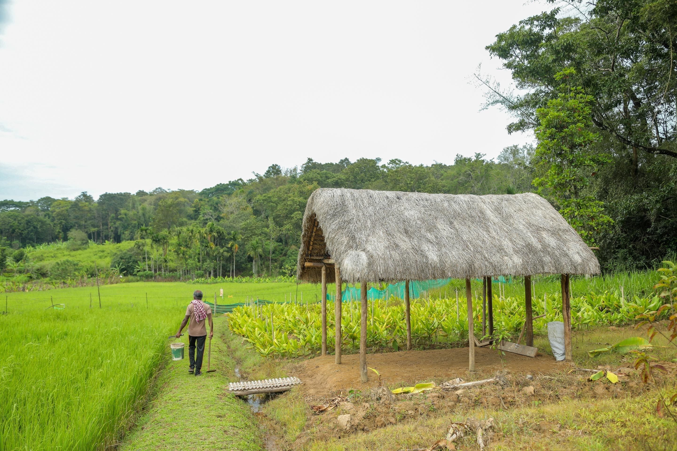 A rural scene with a thatched-roof hut, a person walking with a bucket, and a lush green field.