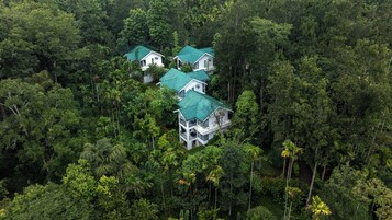 Un conjunto de edificios blancos con techos verdes, ubicados en un bosque frondoso.
