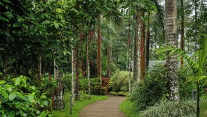 Exterior - The Woods Resorts Wayanad (Sulthan Bathery)