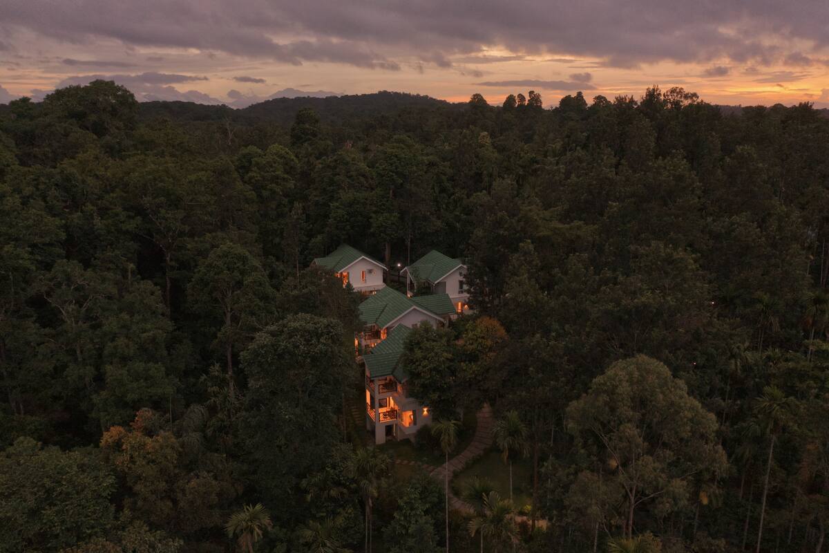 Una casa rodeada de un bosque denso con un sendero visible que lleva a la entrada.