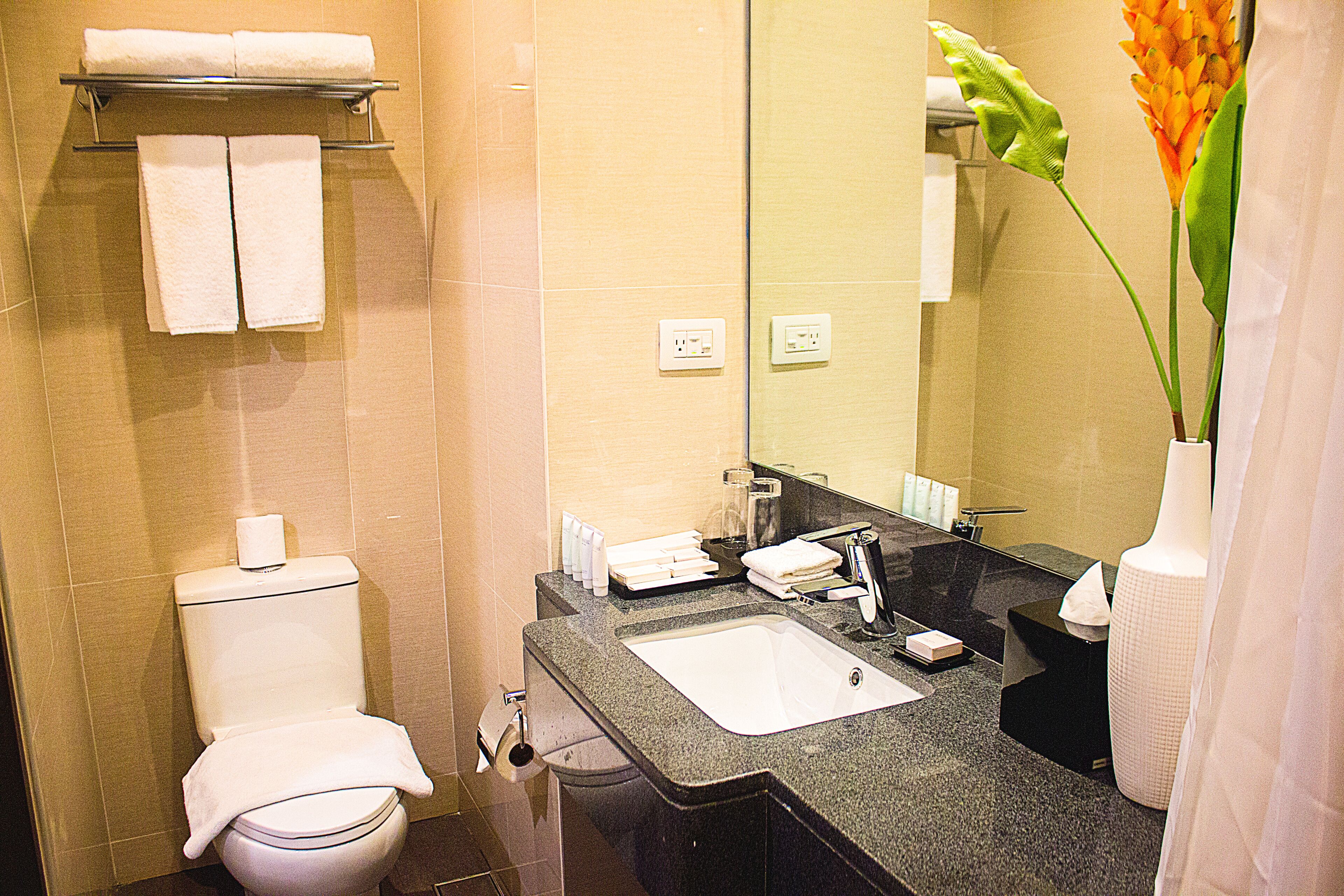 standard queen room | bathroom | shower, rainfall showerhead, free toiletries, hair dryer